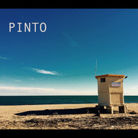 Pinto - Pinto