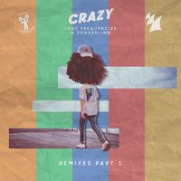 Lost Frequencies and Zonderling - Crazy (Remixes - Pt. 1)