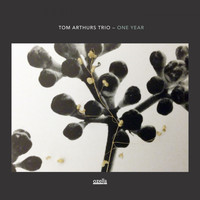 Tom Arthurs Trio - One Year