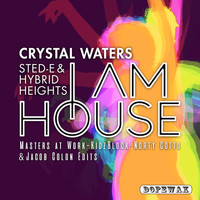 Crystal Waters & Sted-E & Hybrid Heights - I Am House (Explicit)