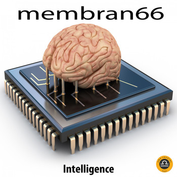 membran 66 - Intelligence