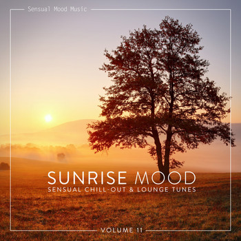 Various Artists - Sunrise Mood, Vol. 11