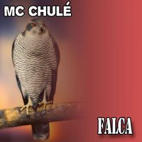 MC Chulé - Falca (Explicit)