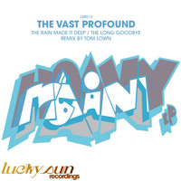 The Vast Profound - The Heavy Rain EP