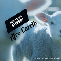 Afro Carrib - Are You A Sheep ?
