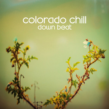 Colorado Chill - Down Beat
