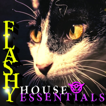The Sektorz - Flashy House Essentials