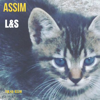 L&S - Assim