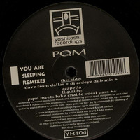 PQM - You Are Sleeping (Remixes)