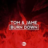 Tom & Jame - Burn Down