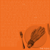 The Fleas - Push