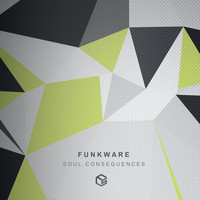 Funkware - Soul Consequences