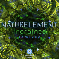 Naturelement - Ingrained Remixed