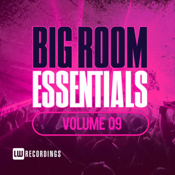 Various Artists - Big Room Essentials, Vol. 09