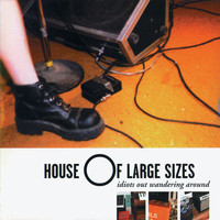 House of Large Sizes - Idiots out Wandering Around
