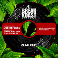 Dub Defense - Remixed