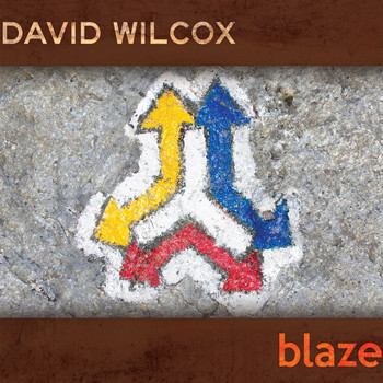 David Wilcox - Blaze