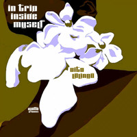 Vito Lalinga - In Trip Inside Myself (Elettro Funk Version)