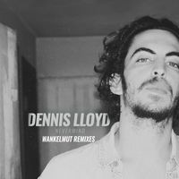 Dennis Lloyd - Nevermind (Wankelmut Remixes)
