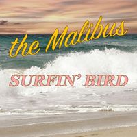 The Malibus - Surfin' Bird