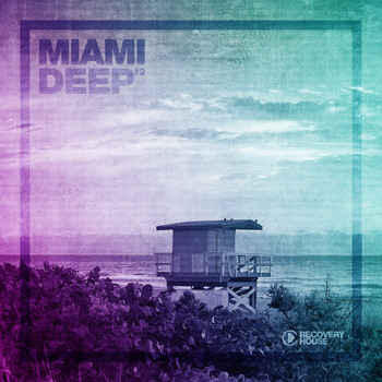 Various Artists - Miami Deep #2