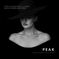 The Electric Light Bulb Orchestra - Peak (Luxury Sounds for Pleasure)