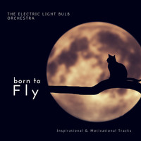 The Electric Light Bulb Orchestra - Born to Fly (Inspirational & Motivational Tracks)
