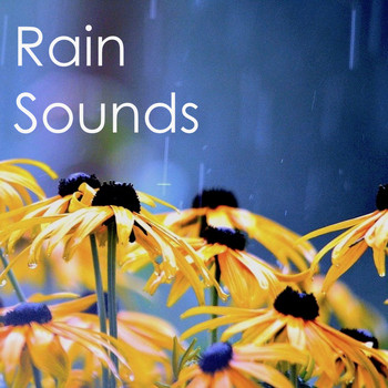 Rain Sounds, The Rain Library, Nature Sounds Nature Music - 16 Storm and Rain Sounds