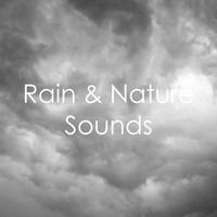 Rain Sounds, The Rain Library, Nature Sounds Nature Music - 13 Rain and Nature Sounds