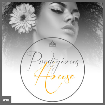 Various Artists - Prestigious House, Vol. 13