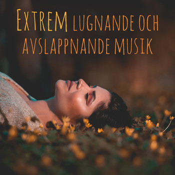 Djup Avslappningsövningar Akademi - Extrem lugnande och avslappnande musik (60 spår för yoga, sömn, meditation, studier, terapi och avkoppling)