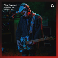 Trunkweed - Trunkweed on Audiotree Live