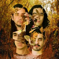 Pirámides - Bosque