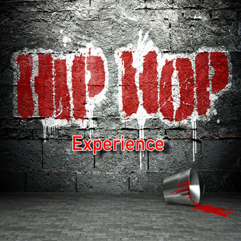Various Artists - Hip Hop Experience