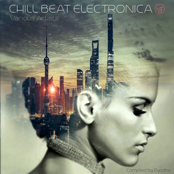 Various Artists - Chill Beat Electronica