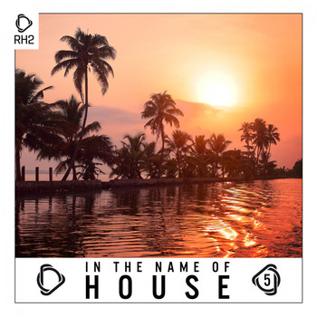 Various Artists - In the Name of House, Vol. 5