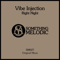 Vibe Injection - Right Night