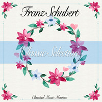 Franz Schubert - Classic Selection (Classical Music Masters) (Classical Music Masters)