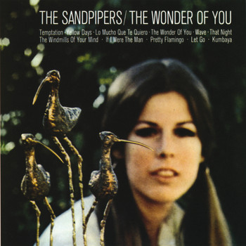 The Sandpipers - The Wonder Of You