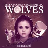 Selena Gomez, Marshmello - Wolves (Sneek Remix)