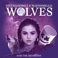 Selena Gomez, Marshmello - Wolves (Said The Sky Remix)