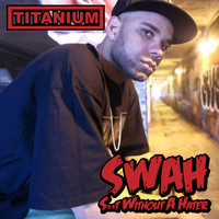 Titanium - Shit without a Hater (Explicit)