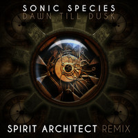Sonic Species - Dawn Till Dusk (Spirit Architect Remix)