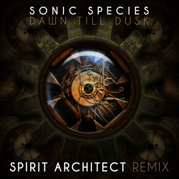 Sonic Species - Dawn Till Dusk (Spirit Architect Remix)