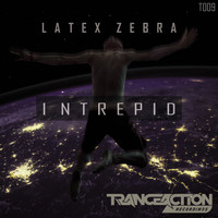Latex Zebra - Intrepid