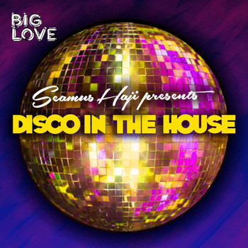 Various Artists - Seamus Haji Presents Disco In The House