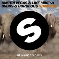 Dimitri Vegas & Like Mike vs. DVBBS & Borgeous - Stampede