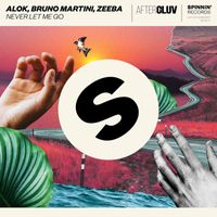 Alok, Bruno Martini & Zeeba - Never Let Me Go