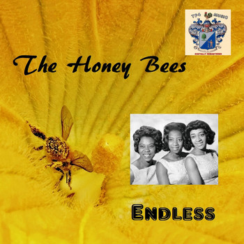 The Honey Bees - Endless