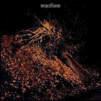 Mycelium - Volume I